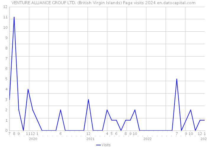 VENTURE ALLIANCE GROUP LTD. (British Virgin Islands) Page visits 2024 