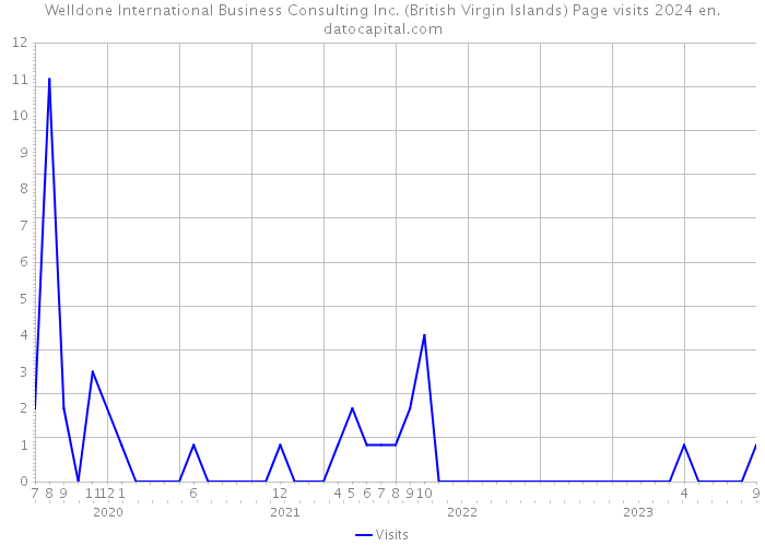 Welldone International Business Consulting Inc. (British Virgin Islands) Page visits 2024 