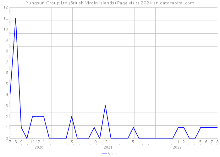 Yungsun Group Ltd (British Virgin Islands) Page visits 2024 