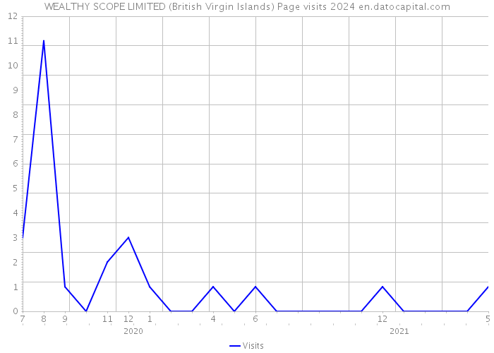 WEALTHY SCOPE LIMITED (British Virgin Islands) Page visits 2024 