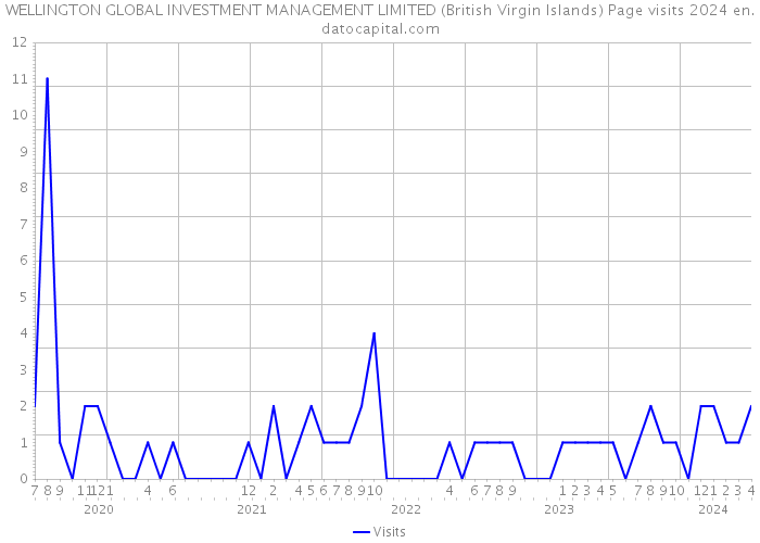 WELLINGTON GLOBAL INVESTMENT MANAGEMENT LIMITED (British Virgin Islands) Page visits 2024 