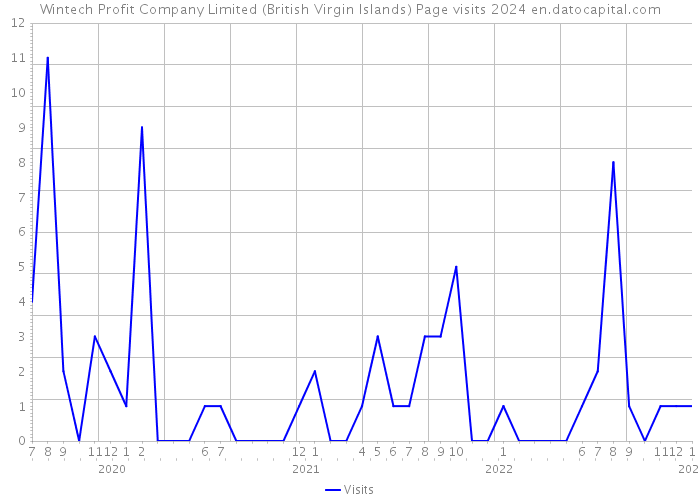 Wintech Profit Company Limited (British Virgin Islands) Page visits 2024 