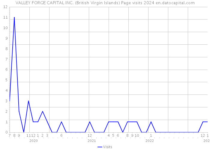 VALLEY FORGE CAPITAL INC. (British Virgin Islands) Page visits 2024 