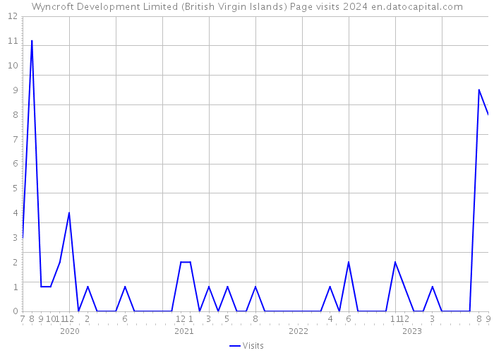 Wyncroft Development Limited (British Virgin Islands) Page visits 2024 