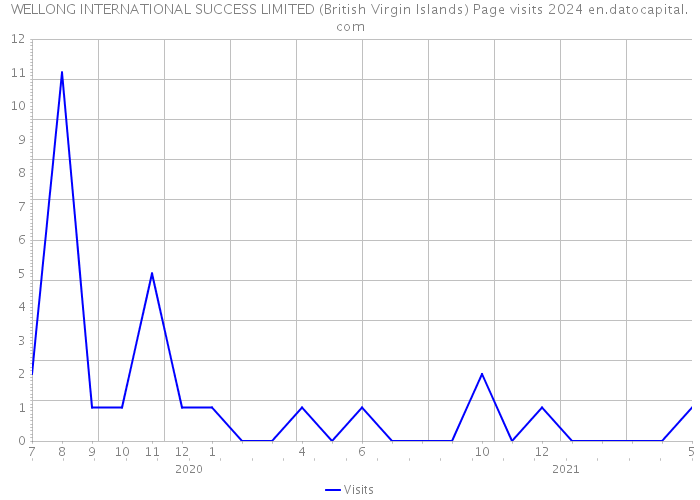 WELLONG INTERNATIONAL SUCCESS LIMITED (British Virgin Islands) Page visits 2024 