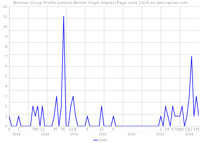 Brenner Group Profits Limited (British Virgin Islands) Page visits 2024 
