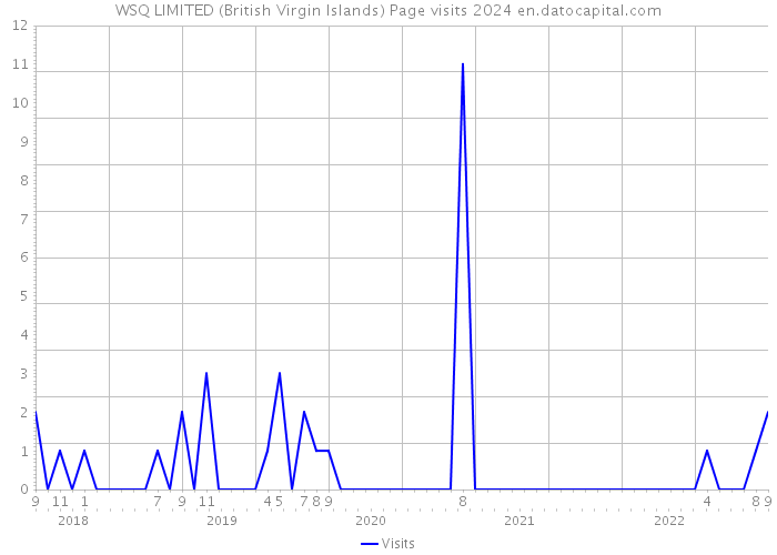 WSQ LIMITED (British Virgin Islands) Page visits 2024 