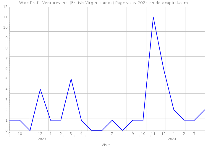 Wide Profit Ventures Inc. (British Virgin Islands) Page visits 2024 