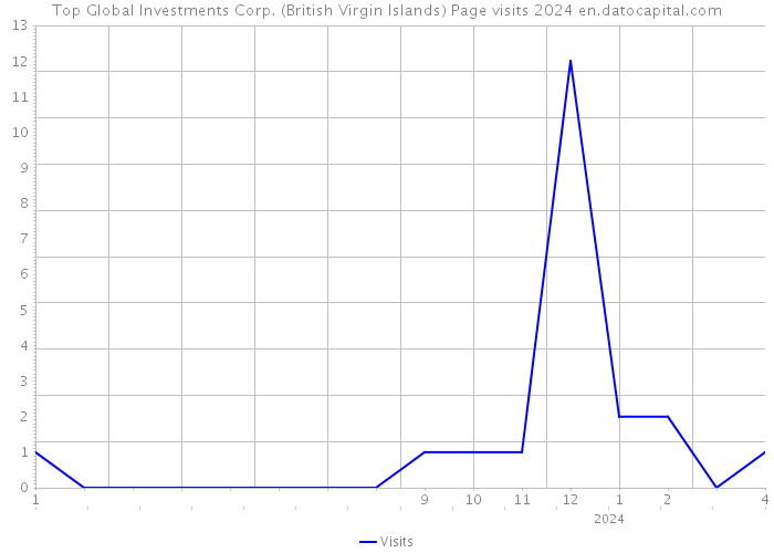 Top Global Investments Corp. (British Virgin Islands) Page visits 2024 
