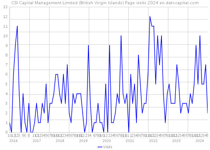 CSI Capital Management Limited (British Virgin Islands) Page visits 2024 