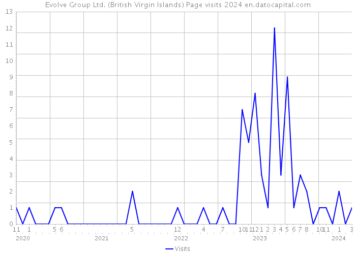 Evolve Group Ltd. (British Virgin Islands) Page visits 2024 