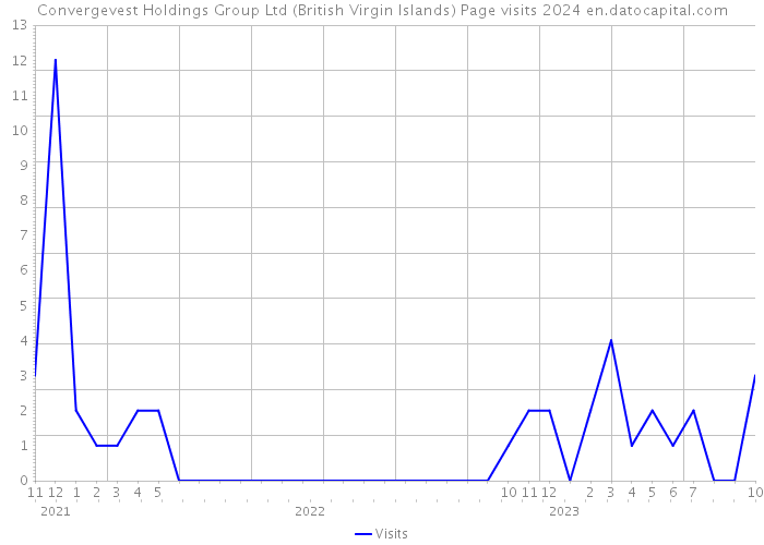 Convergevest Holdings Group Ltd (British Virgin Islands) Page visits 2024 