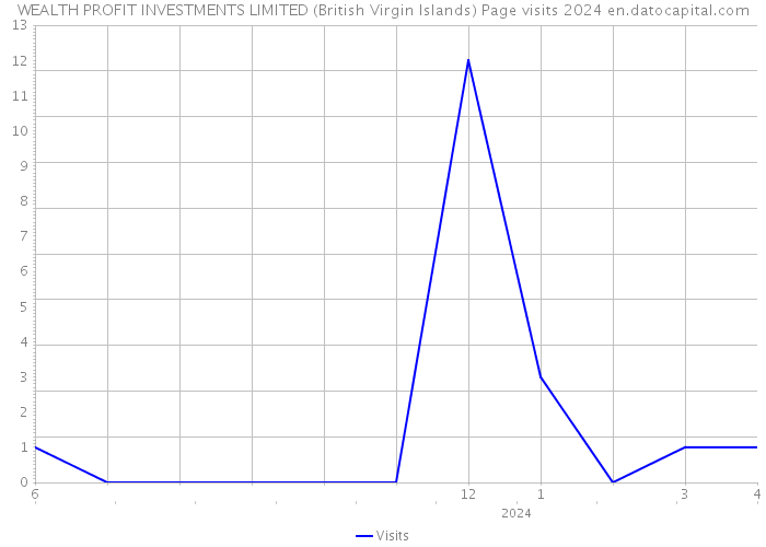 WEALTH PROFIT INVESTMENTS LIMITED (British Virgin Islands) Page visits 2024 