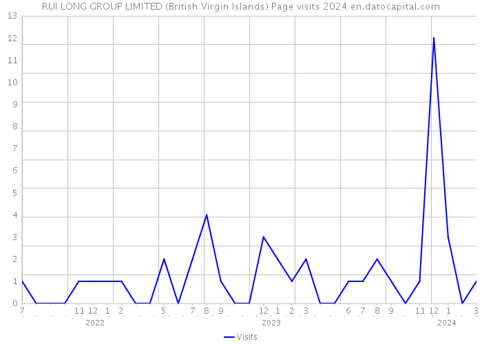 RUI LONG GROUP LIMITED (British Virgin Islands) Page visits 2024 