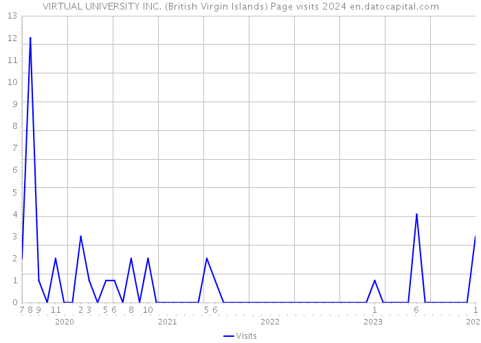 VIRTUAL UNIVERSITY INC. (British Virgin Islands) Page visits 2024 