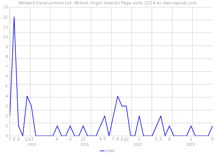 Welland Development Ltd. (British Virgin Islands) Page visits 2024 