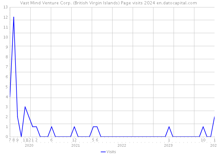 Vast Mind Venture Corp. (British Virgin Islands) Page visits 2024 