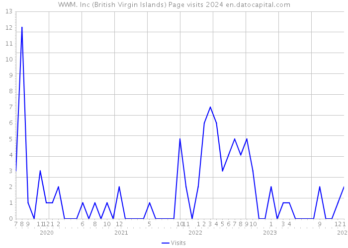 WWM. Inc (British Virgin Islands) Page visits 2024 
