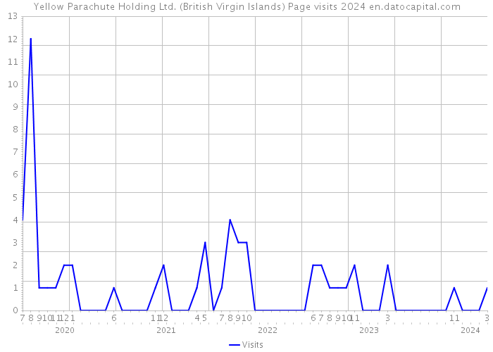 Yellow Parachute Holding Ltd. (British Virgin Islands) Page visits 2024 
