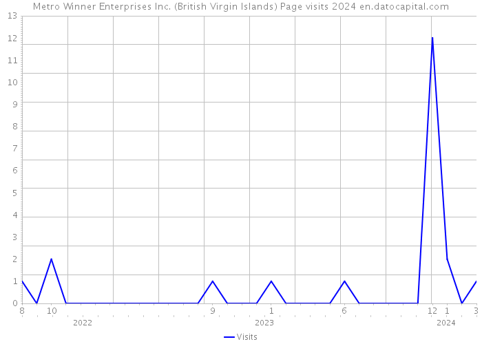 Metro Winner Enterprises Inc. (British Virgin Islands) Page visits 2024 