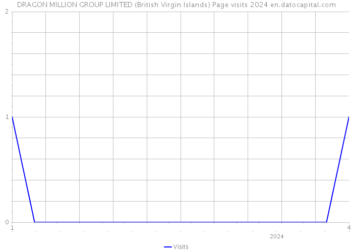 DRAGON MILLION GROUP LIMITED (British Virgin Islands) Page visits 2024 
