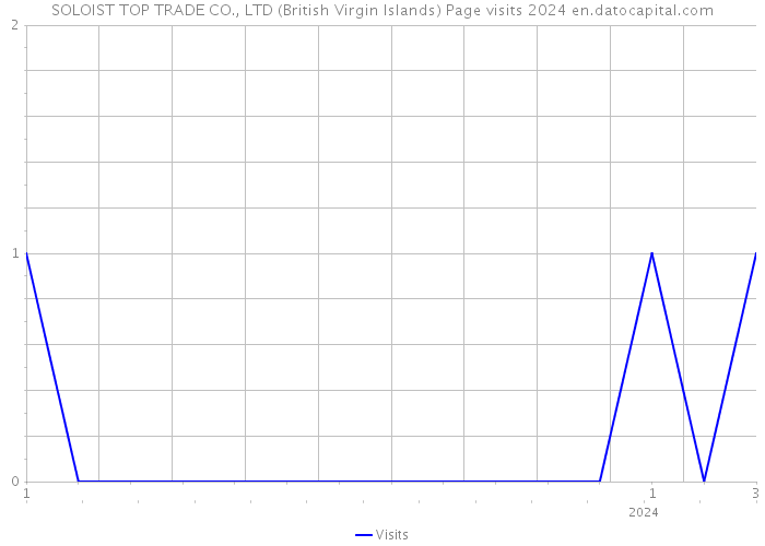 SOLOIST TOP TRADE CO., LTD (British Virgin Islands) Page visits 2024 