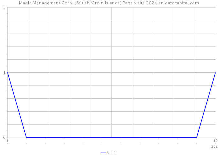 Magic Management Corp. (British Virgin Islands) Page visits 2024 