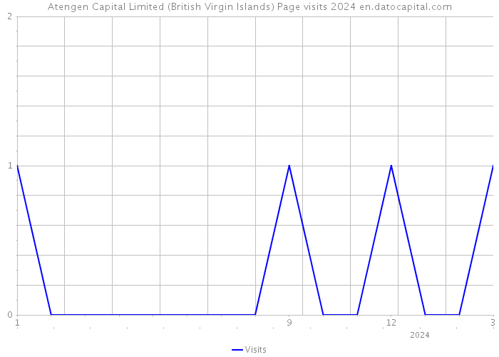 Atengen Capital Limited (British Virgin Islands) Page visits 2024 