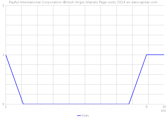 Rayful International Corporation (British Virgin Islands) Page visits 2024 