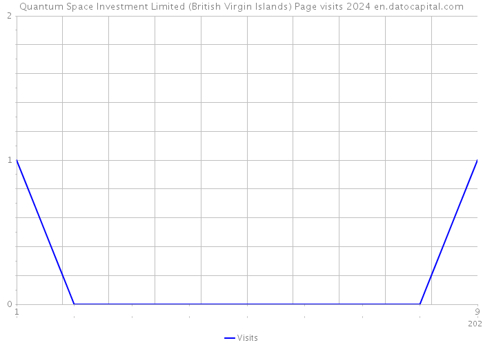 Quantum Space Investment Limited (British Virgin Islands) Page visits 2024 