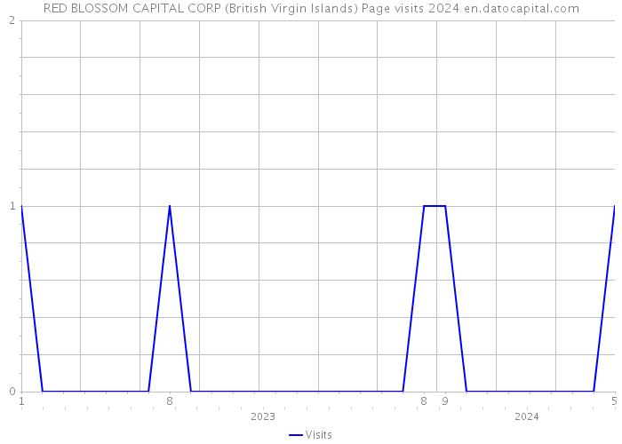 RED BLOSSOM CAPITAL CORP (British Virgin Islands) Page visits 2024 