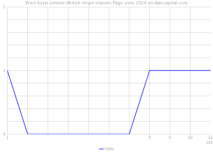 Erect Asset Limited (British Virgin Islands) Page visits 2024 