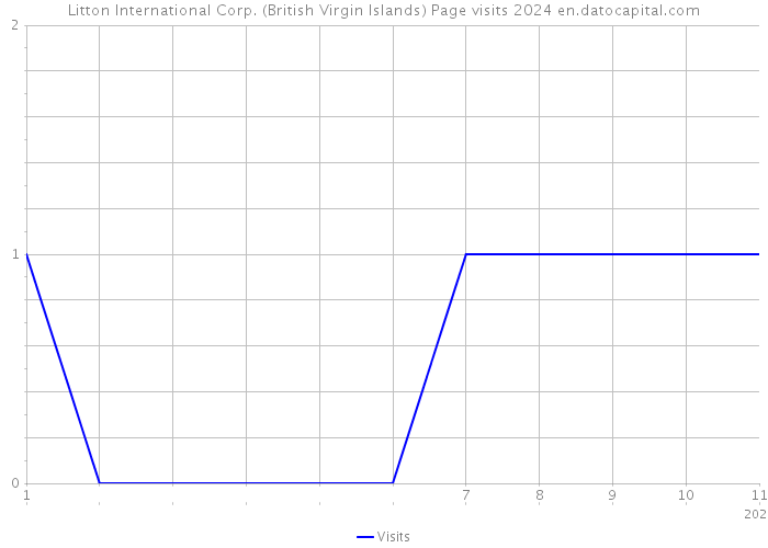 Litton International Corp. (British Virgin Islands) Page visits 2024 