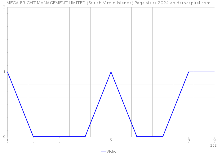 MEGA BRIGHT MANAGEMENT LIMITED (British Virgin Islands) Page visits 2024 