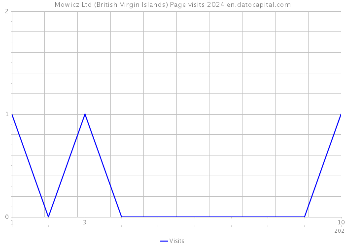 Mowicz Ltd (British Virgin Islands) Page visits 2024 