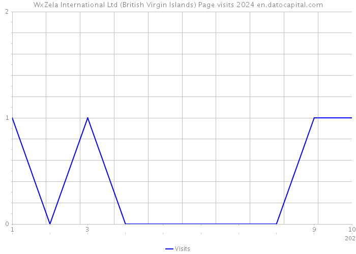 WxZela International Ltd (British Virgin Islands) Page visits 2024 