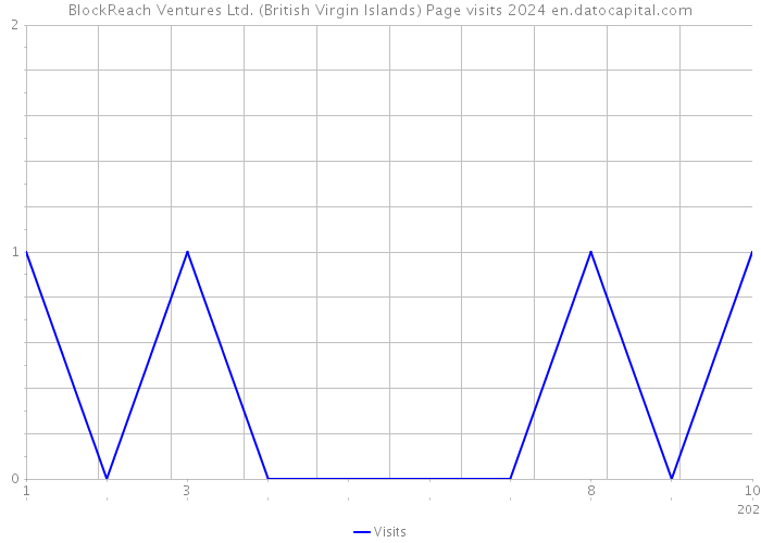 BlockReach Ventures Ltd. (British Virgin Islands) Page visits 2024 