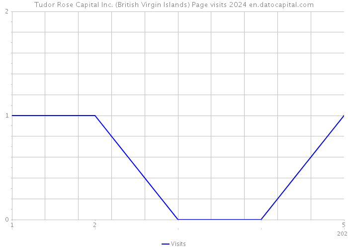 Tudor Rose Capital Inc. (British Virgin Islands) Page visits 2024 