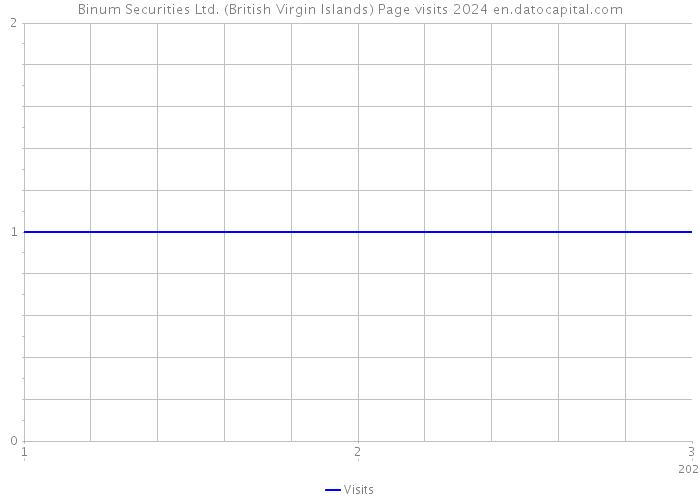Binum Securities Ltd. (British Virgin Islands) Page visits 2024 