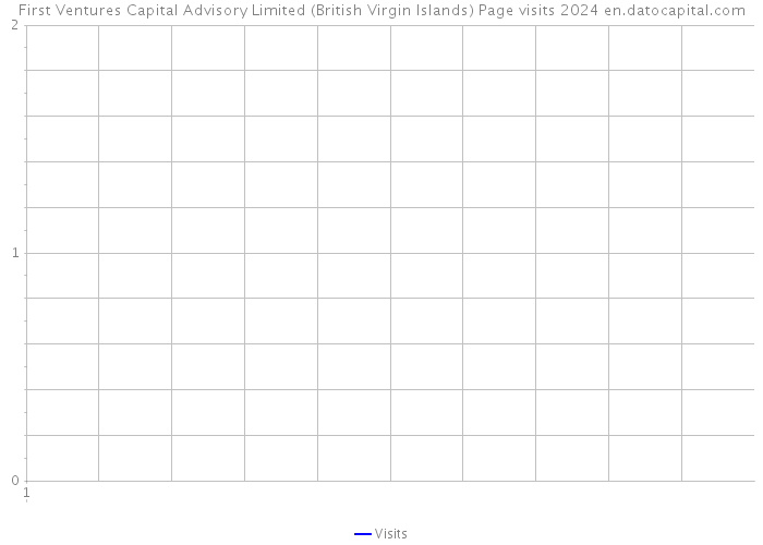 First Ventures Capital Advisory Limited (British Virgin Islands) Page visits 2024 