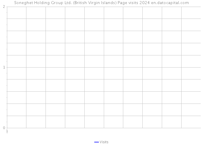 Soneghet Holding Group Ltd. (British Virgin Islands) Page visits 2024 