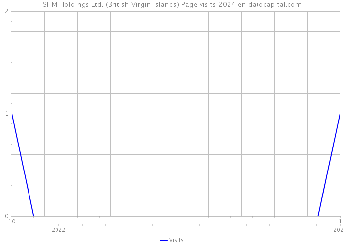 SHM Holdings Ltd. (British Virgin Islands) Page visits 2024 