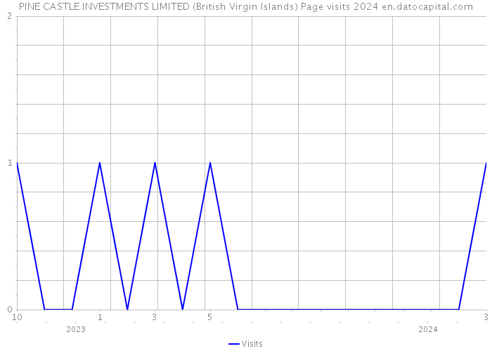 PINE CASTLE INVESTMENTS LIMITED (British Virgin Islands) Page visits 2024 