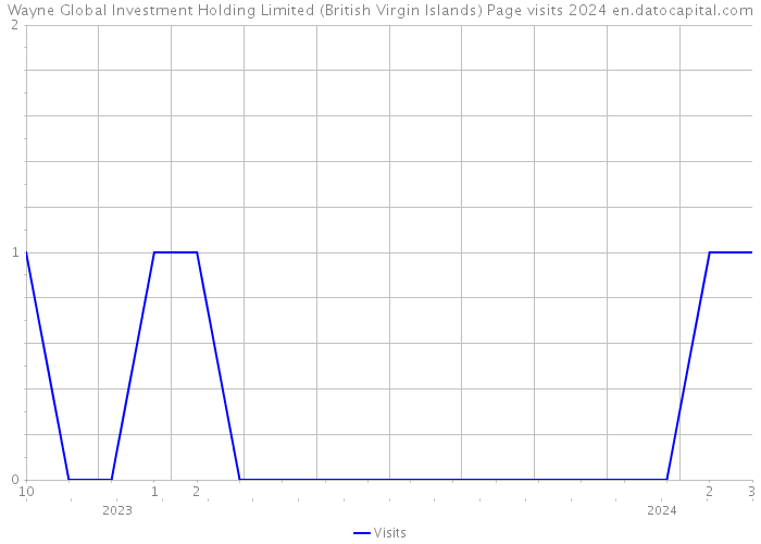 Wayne Global Investment Holding Limited (British Virgin Islands) Page visits 2024 