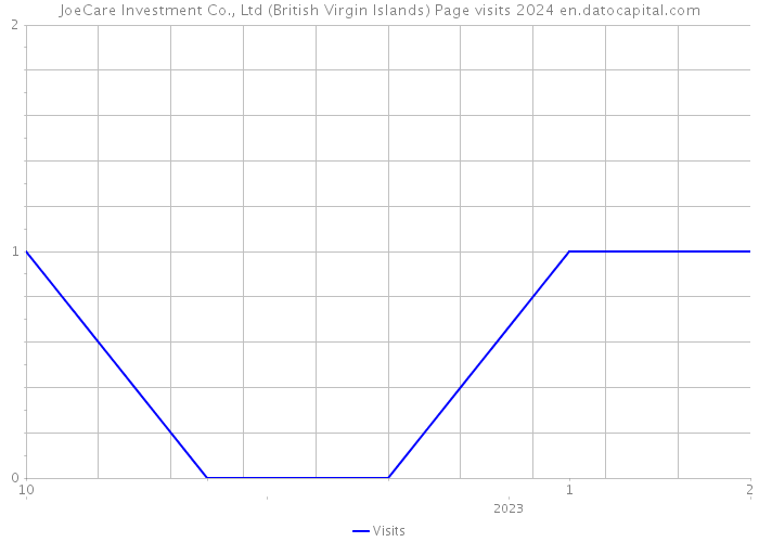 JoeCare Investment Co., Ltd (British Virgin Islands) Page visits 2024 