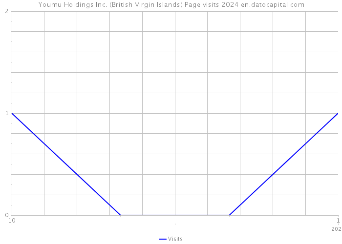 Youmu Holdings Inc. (British Virgin Islands) Page visits 2024 