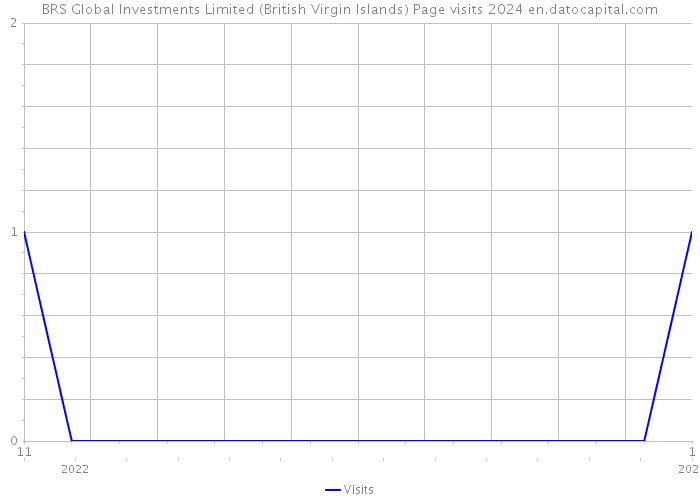 BRS Global Investments Limited (British Virgin Islands) Page visits 2024 