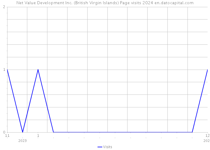 Net Value Development Inc. (British Virgin Islands) Page visits 2024 