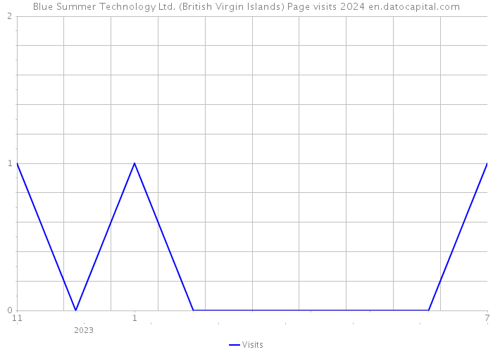 Blue Summer Technology Ltd. (British Virgin Islands) Page visits 2024 