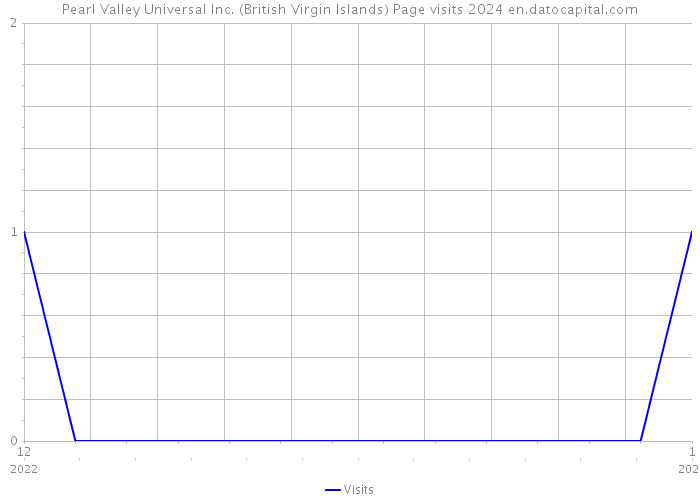Pearl Valley Universal Inc. (British Virgin Islands) Page visits 2024 